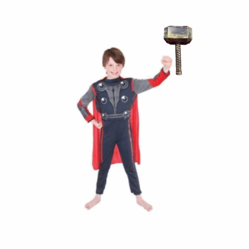 Thor Boy 2 [Rental for 4 days]