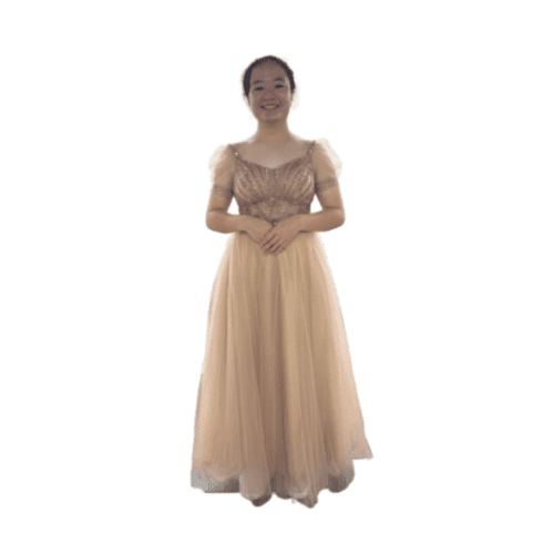 Sequin Gold Dinner Dress [Rental for 4 Days]
