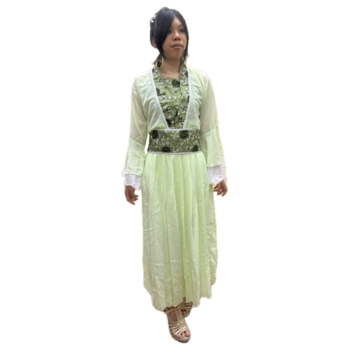 Tang Dynasty Half Sleeve Hanfu -  Green 2 [Rental for 4 Days]
